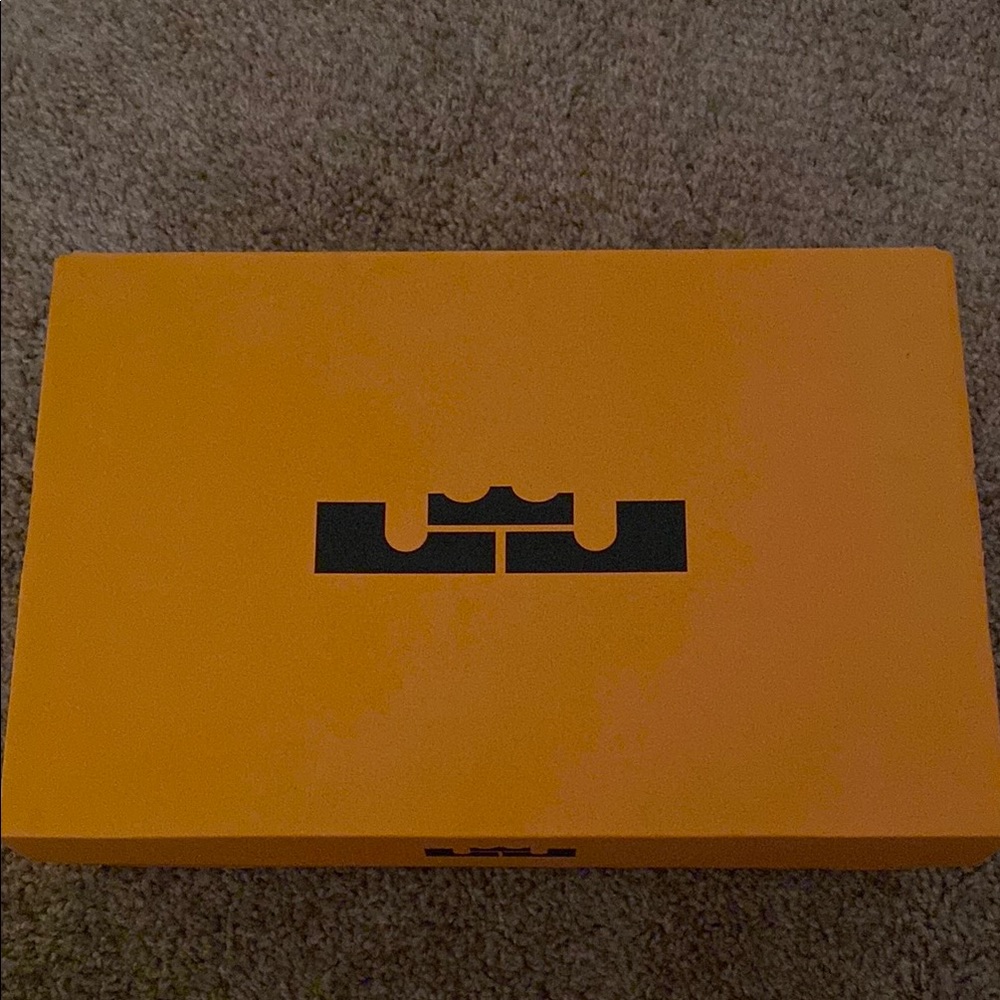 LeBron court shoes